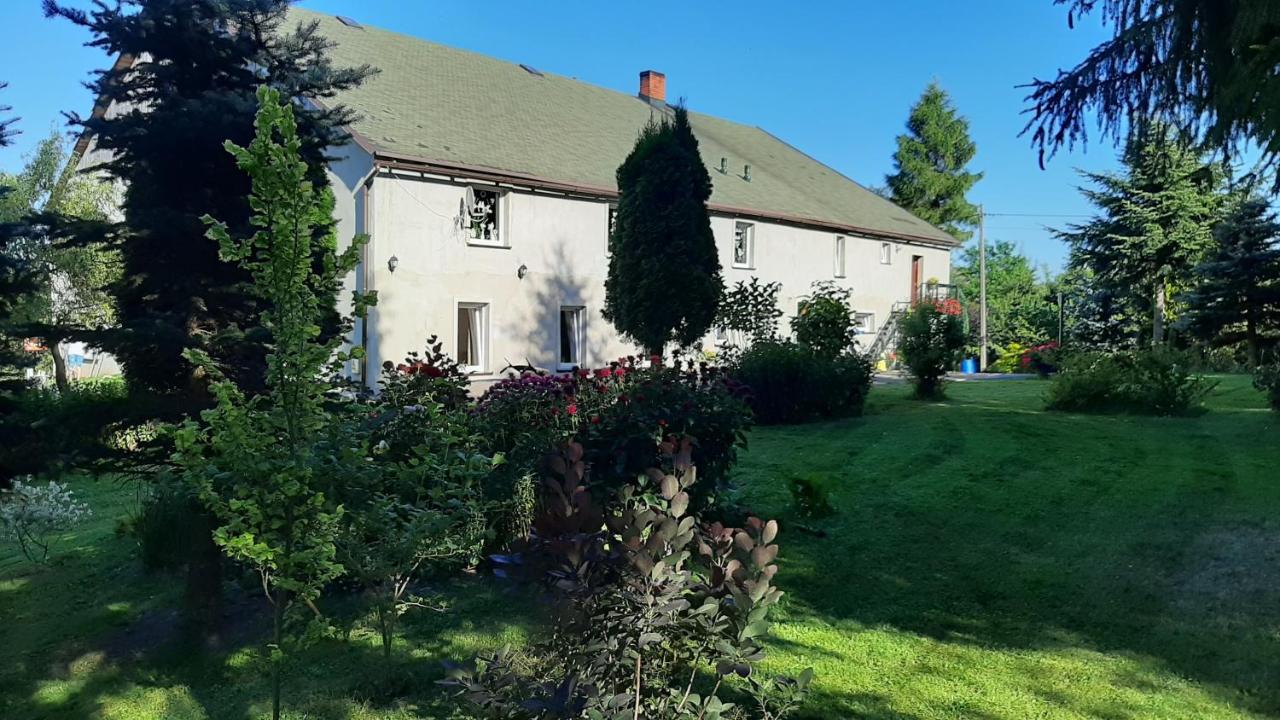 Noclegi U Przewodnikow - Zwiedzaczek Lubawka Exterior photo